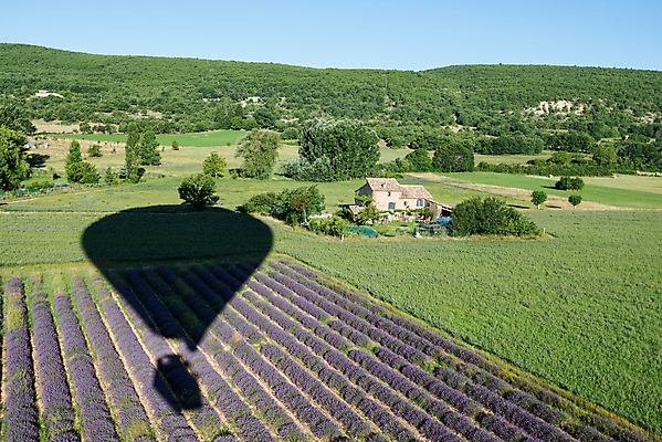 포토 JPG 해외이미지 식물 꽃 선 여행 농업 교통시설 하늘 주택 안테나 그림자 풍경 사람없음 야외 초록색 여름 파란색 하이앵글 햇빛 농장 보라색 프랑스 벚꽃 열기구 개화 승차 배열 제비꽃 관목 풍선 질서 라벤더 조감도 줄서기 프로방스 해외포토 나무 계절 유럽 산업 뷰포인트 컬러 교통 통신 항공교통 모션 건물 태양 예절 허브 시설 파일형식 이미지허브