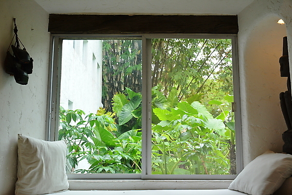 포토 JPG 해외이미지 주간 식물 창문 자연 아침 주택 사람없음 정원 신선 오픈 장면 해외포토 자연요소 건물 생태계 파일형식 이미지허브