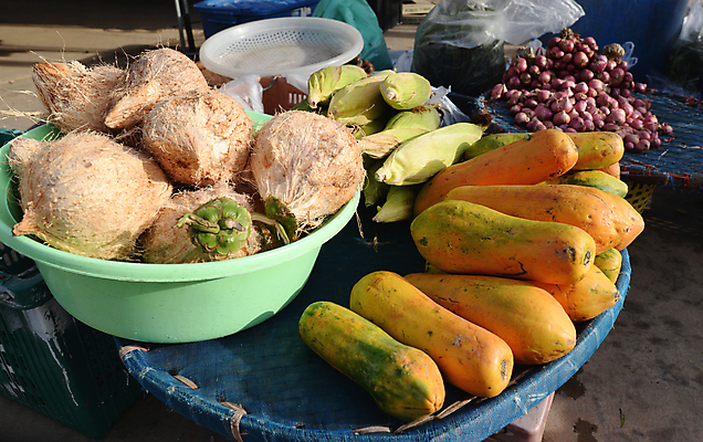 포토 JPG 해외이미지 식물 음식 백그라운드 과일 재료 태국 자연 건강 옥수수 요리 동양인 사람없음 야외 초록색 노란색 세일 바구니 정원 식사 성장 흰색 신선 시장 달콤 유기농 향기 코코넛 흙더미 내추럴 숙성 파파야 해외포토 웰빙 아시아 컬러 곡류 인종 흙 맛 열대과일 생태계 냄새 파일형식 더미 이미지허브