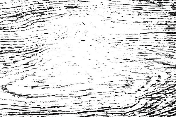 EPS 해외이미지 나무 템플릿 디자인 선 벽 백그라운드 패턴 일러스트 자연 벽지 탁자 표면 날씨 추상 바닥 미술 목재 그래픽 울타리 검은색 어둠 페인트 고통 수확 흰색 시골 판넬 거친 널 낟알 고민 질감 복고 덮기 내추럴 그런지 수목 엘리먼트 옛날 해외일러스트 식물 감정 컬러 가구 무늬 농업 재료 모션 문화예술 담장 생태계 파일형식 벡터 이미지허브