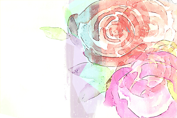 포토 JPG 해외이미지 꽃 분홍색 백그라운드 텍스트 추상 수채화 미술 사람없음 빨간색 여름 장미 우주 흰색 그림 지역 해외포토 식물 계절 컬러 무늬 문화예술 파일형식 이미지허브