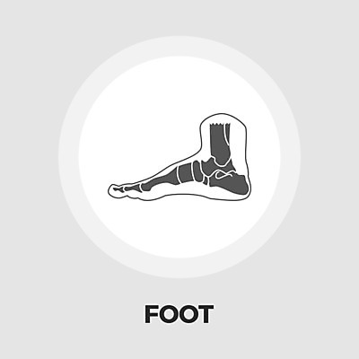 EPS 해외이미지 클립아트 남자 과학 신체 일러스트 부분 해부 발 뼈 골격 형상 미술 사람 약 펜 걷기 건강관리 정상 그림 생물학 발가락 테라피 발목 양발 해외일러스트 교육 의학 모션 문화예술 건강 관리 신체부위 필기구 뷰티 파일형식 벡터 이미지허브