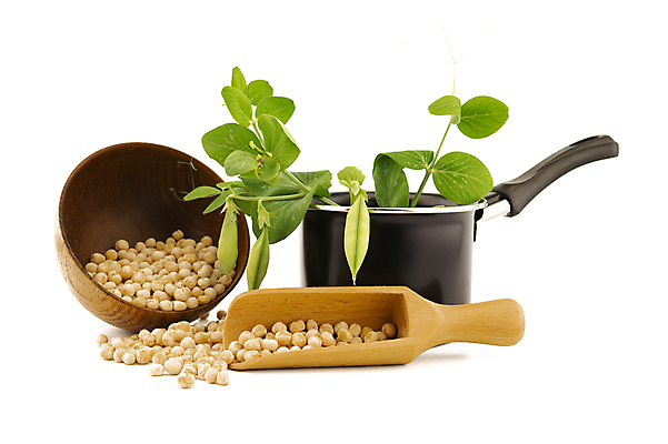 포토 JPG 해외이미지 식물 음식 백그라운드 농업 다이어트 채소 재료 건조 건강 병아리 요리 씨앗 사람없음 목재 초록색 갈색 노란색 식사 흰색 신선 사발 닫기 냄비 상품 낟알 묘사 국자 유기농 완두콩 날것 흘림 흙더미 내추럴 꼬투리 단백질 병아리콩 생식 채식주의자 비건 해외포토 나무 웰빙 산업 컬러 모션 조류 주방용품 콩 흙 사기그릇 솥 채식 영양소 파일형식 더미 이미지허브