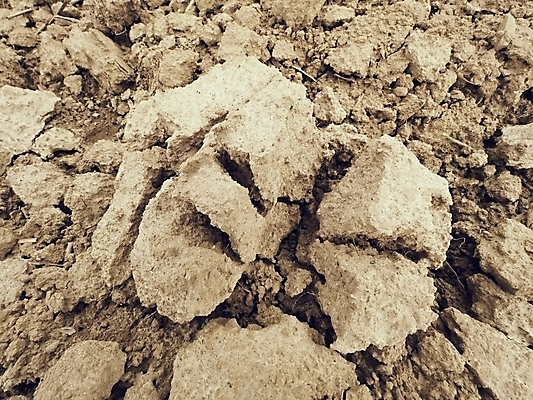 포토 JPG 해외이미지 식물 패턴 자연 표면 건조 사람없음 초록색 농작물 환경 뜨거움 거친 균열 땅 버리기 묘사 부식 질감 먼지 지역 진흙 가뭄 덩어리 다리찢기 내추럴 땅바닥 생태학 재앙 지질학 생존 해외포토 교육 컬러 무늬 농업 모션 날씨 바닥 생태계 파일형식 이미지허브