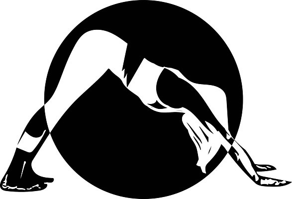 EPS 해외이미지 여자 일러스트 요가 건강 한명 사람 성인 검은색 요가자세 흰색 필라테스 성인여자한명만 해외일러스트 1 웰빙 컬러 포즈 운동 여자한명만 성인여자만 파일형식 벡터 이미지허브