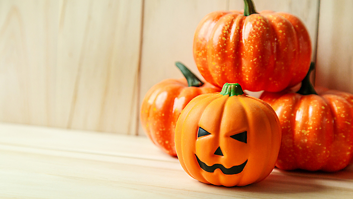 포토 JPG 해외이미지 계절 음식 줄기 백그라운드 단풍 농업 채소 오렌지 자연 호박 휴가 사람없음 목재 장식 컬러풀 노란색 우주 할로윈 수확 가을 시골 축하 신선 유기농 날것 추수감사절 스쿼시 10월 내추럴 목업 해외포토 나무 식물 웰빙 산업 기독교 스포츠 컬러 컨셉 잎 과일 재료 구기 날짜 생태계 파일형식 이미지허브