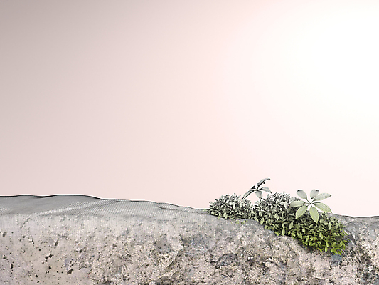 포토 JPG 해외이미지 모양 템플릿 디자인 백그라운드 컨셉 일러스트 추상 벽돌 서기 사람없음 장식 빛 유행 3D 우주 공백 블록 흰색 발표 고급 상품 받침대 오브젝트 진열장 질감 만들기 쇼 단상 옛날 지휘대 목업 미니멀리스트 미니멀 해외일러스트 컬러 무늬 모션 디지털합성 파일형식 이미지허브