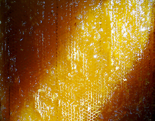 포토 JPG 해외이미지 동물 음식 곤충 백그라운드 패턴 오렌지 자연 세포 건강 사람없음 야외 약 농장 노란색 시골 신선 머리빗 황금 달콤 맛 꿀벌 배열 묘사 질감 꽃가루 육각형 꿀 벌집 내추럴 고립 밀랍 양봉 양봉장 왁스 폴리곤 해외포토 도형 컬러 컨셉 무늬 농업 과일 의학 미용용품 벌_곤충 가루 생태계 파일형식 이미지허브