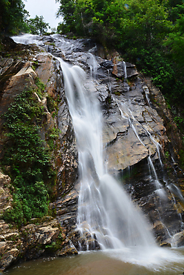 포토 JPG 해외이미지 나무 식물 공원 아시아 여행 백그라운드 잎 패턴 태국 자연 건강 풍경 사람없음 야외 목재 초록색 물 빛 강 정원 봄 폭포 젖음 성장 신선 개울 숲 순수 전국 해외포토 자연요소 계절 공공시설 나라 컬러 컨셉 무늬 재료 생태계 파일형식 이미지허브