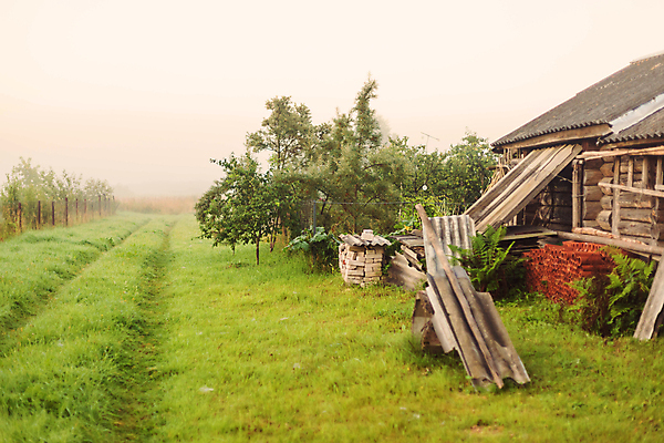 포토 JPG 해외이미지 나무 밭 자연 하늘 아침 날씨 풍경 사람없음 야외 목재 여름 울타리 농경지 일출 환경 새벽 안개 가을 농촌 시골 장면 뿌연 해외포토 주간 자연요소 식물 계절 농업 재료 담장 농장 노을 생태계 파일형식 이미지허브