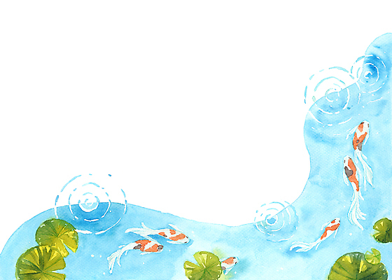 JPG 해외이미지 여러마리 일러스트 수채화 사람없음 연잎 그림 비단잉어 카피스페이스 해외일러스트 다수 잎 공백 민물고기 파일형식 이미지허브