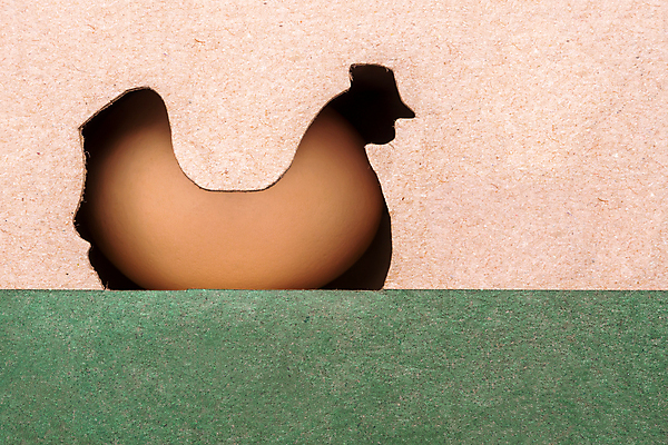 포토 JPG 해외이미지 산업 종이 음식 백그라운드 컨셉 농업 재료 가정 쟁반 건강 요리 사람없음 상자 농장 계란 치킨 신선 그룹 상품 방목 컨테이너 자르기 가득함 유기농 생태계 패키지 짐싸기 단백질 밭일 암탉 전용 추가 중소기업 해외포토 웰빙 회사 모션 알 닭 축산업 암컷 닭고기요리 영양소 파일형식 이미지허브