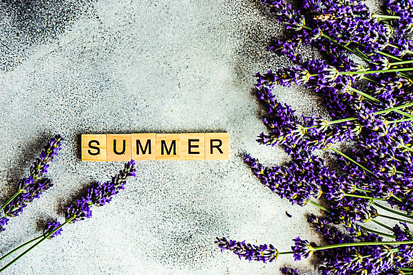 포토 JPG 해외이미지 영어 꽃 실내 사람없음 라벤더 나무블록 해외포토 식물 문자 내부 목재 블록 허브 파일형식 이미지허브