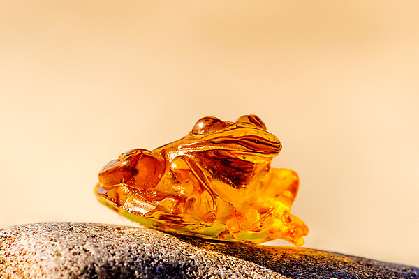 포토 JPG 해외이미지 자연 사람없음 빛 주황색 투명 보석 화석 앰버 해외포토 컬러 광석 생태계 파일형식 이미지허브