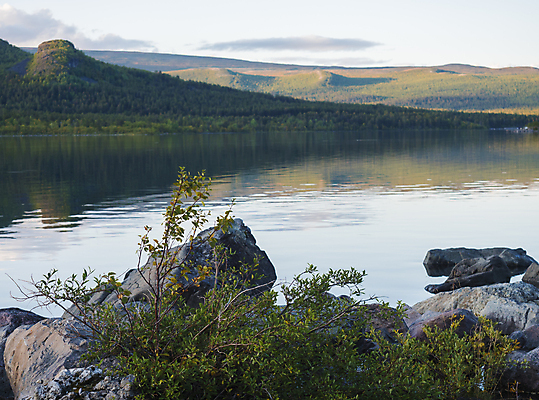 포토 JPG 해외이미지 나무 호수 여행 백그라운드 오렌지 자국 자연 하늘 산 스웨덴 풍경 사람없음 야외 초록색 물 여름 빛 강 컬러풀 햇빛 태양 반사 일출 일몰 새벽 하이킹 탐험 가을 언덕 장면 북쪽 자작나무 내추럴 스칸디나비아 해외포토 자연요소 식물 계절 컬러 과일 레저 북유럽 노을 방향 생태계 파일형식 이미지허브