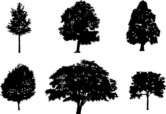 EPS 해외이미지 나무 식물 디자인 실루엣 백그라운드 잎 꽃무늬 패턴 일러스트 자연 미술 그래픽 세트 정원 검은색 성장 나뭇가지 고독 숲 수집 오브젝트 그림 유기농 윤곽 자작나무 내추럴 고립 해외일러스트 웰빙 꽃 감정 컬러 무늬 문화예술 촬영기법 생태계 파일형식 벡터 이미지허브