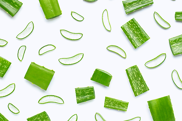 포토 JPG 해외이미지 스튜디오촬영 단면 실내 사람없음 하이앵글 흰배경 알로에 해외포토 식물 뷰포인트 백그라운드 내부 흰색 파일형식 이미지허브