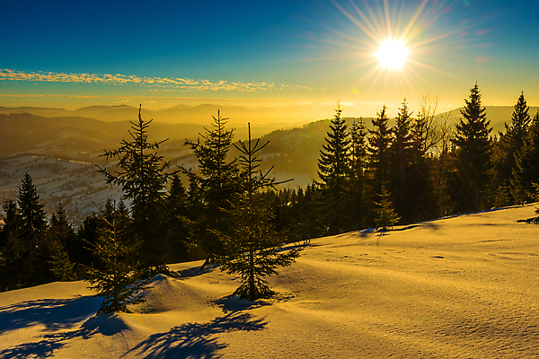 포토 JPG 해외이미지 나무 구름 유럽 여행 겨울 자연 하늘 휴가 스키 산 파노라마 풍경 사람없음 야외 파란색 태양 일출 맑음 냉동 얼음 새벽 트래킹 하이킹 추위 성장 흰색 소나무 숲 언덕 서리 북쪽 슬로프 산악지대 웅장함 절정 폭설 눈내림 가문비나무 해외포토 자연요소 식물 계절 나라 컬러 레저 날씨 겨울스포츠 스키장 눈_날씨 촬영기법 노을 자연재해 방향 생태계 파일형식 이미지허브