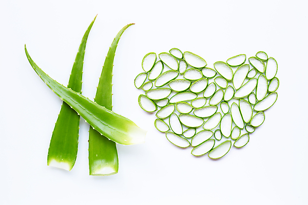 포토 JPG 해외이미지 스튜디오촬영 단면 실내 사람없음 하이앵글 하트 흰배경 알로에 엘리먼트 플랫레이 해외포토 모양 식물 뷰포인트 백그라운드 내부 흰색 플랫 파일형식 이미지허브