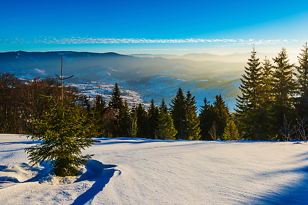 포토 JPG 해외이미지 나무 구름 유럽 여행 겨울 자연 하늘 휴가 스키 산 파노라마 풍경 사람없음 야외 파란색 태양 일출 맑음 냉동 얼음 새벽 트래킹 하이킹 추위 성장 흰색 소나무 숲 언덕 서리 북쪽 슬로프 산악지대 웅장함 절정 폭설 눈내림 가문비나무 해외포토 자연요소 식물 계절 나라 컬러 레저 날씨 겨울스포츠 스키장 눈_날씨 촬영기법 노을 자연재해 방향 생태계 파일형식 이미지허브