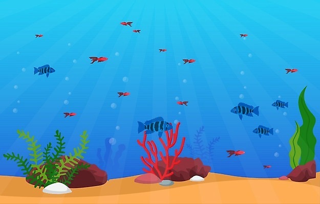 EPS 해외이미지 식물 동물 디자인 모래 파도 바다 백그라운드 컨셉 일러스트 자연 불가사리 항해 어류 미술 취미 내부 장식 물 반려동물 컬러풀 환경 상점 수중 수영 거품 해조류 산호 작음 수집 다이빙 탱크 암초 수족관 동물상 민물 이국적 해외일러스트 자연요소 컬러 배_교통 문화예술 극피동물 조형물 수중동물 수상스포츠 해양식물 자포동물 크기 생태계 수중스포츠 파일형식 벡터 이미지허브