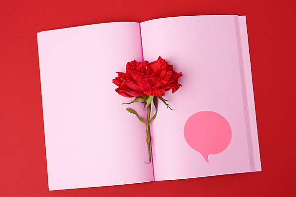 포토 JPG 해외이미지 꽃 말풍선 사람없음 빨간색 장미 공책 오브젝트 해외포토 식물 컬러 문구용품 파일형식 이미지허브