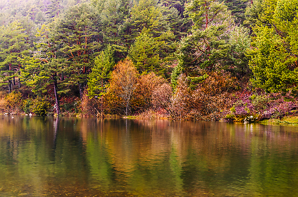 포토 JPG 해외이미지 나무 식물 공원 호수 여행 겨울 자연 휴가 미술 풍경 사람없음 야외 초록색 강 컬러풀 여행객 평화 계곡 짐 스페인 습지 숲 강가 버드나무 언덕 만족 마드리드 방법 벌거벗은 해외포토 계절 공공시설 감정 유럽 컬러 컨셉 문화예술 사람 생태계 파일형식 이미지허브