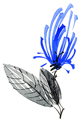 JPG 해외이미지 식물 꽃 일러스트 붓터치 수채화 동양인 사람없음 그림 번짐 해외일러스트 인종 파일형식 효과 이미지허브