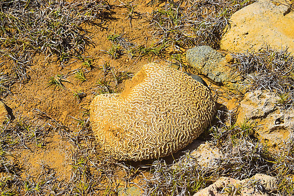 포토 JPG 해외이미지 공원 모래 파도 바다 섬 여행 백그라운드 자연 하늘 날씨 휴가 국립공원 풍경 사람없음 야외 물 여름 파란색 여행객 맑음 바위 동굴 내추럴 전국 해외포토 자연요소 계절 공공시설 컬러 사람 돌_바위 생태계 파일형식 이미지허브