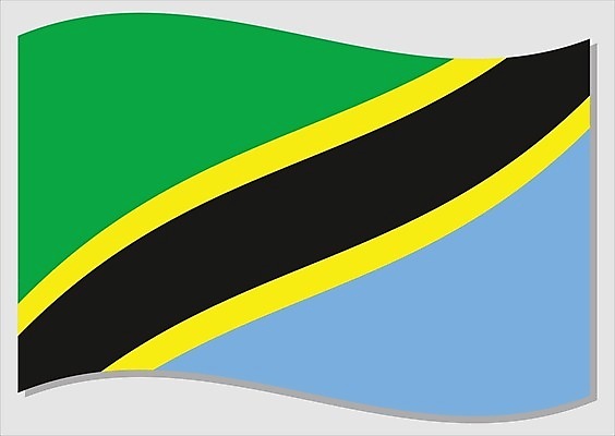 EPS 해외이미지 전통 디자인 배너 문화 물결 여행 일러스트 아프리카 바람 오리 그래픽 초록색 파란색 노란색 검은색 자유 깃발 역사 심볼 사인 웨이브 애국심 독립 잔물결 전국 정부 지리 탄자니아 해외일러스트 자연요소 나라 컬러 컨셉 조류 날씨 파일형식 벡터 이미지허브