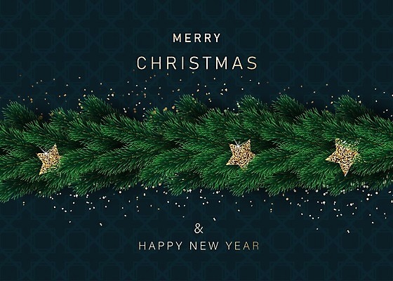 EPS 해외이미지 나무 식물 템플릿 전통 디자인 배너 계절 백그라운드 크리스마스 겨울 패턴 일러스트 자연 벽지 휴가 새로움 프레임 장식 초록색 3D 축제 나뭇가지 축하 소나무 신용카드 화려 연도 질감 상록수 전나무 내추럴 가문비나무 현실 해외일러스트 기념일 컬러 컨셉 무늬 금융 디지털합성 생태계 파일형식 벡터 이미지허브