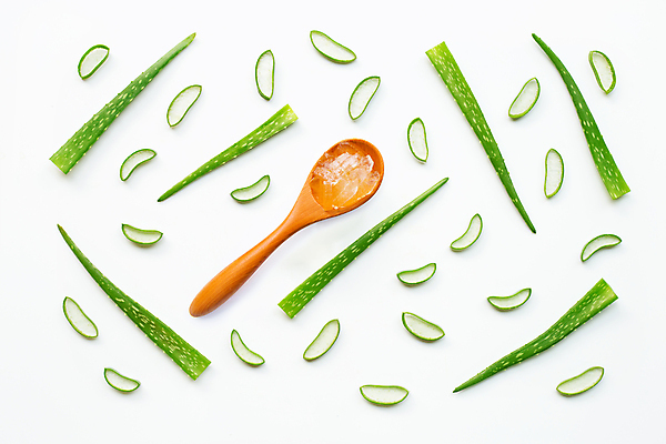 포토 JPG 해외이미지 스튜디오촬영 단면 실내 사람없음 하이앵글 흰배경 알로에 플랫레이 해외포토 식물 뷰포인트 백그라운드 내부 흰색 플랫 파일형식 이미지허브