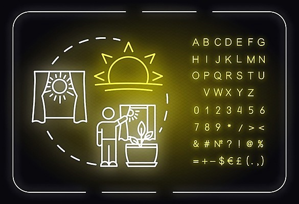 EPS 해외이미지 화분 잎 일러스트 창문 사람모양 사람없음 햇빛 커튼 네온 해외일러스트 모양 식물 태양 파일형식 벡터 이미지허브