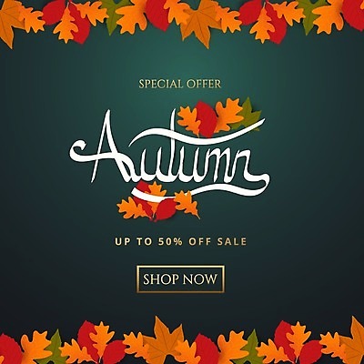 EPS 해외이미지 디자인 낙엽 일러스트 타이포그라피 글자캘리그라피 사람없음 쇼핑 세일 주황색 가을 청록색 반값 해외일러스트 문자 계절 컬러 잎 캘리그라피 파일형식 벡터 이미지허브