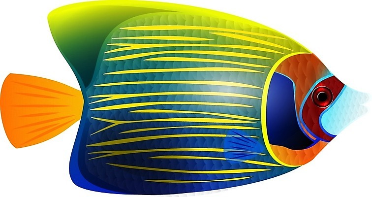 EPS 해외이미지 동물 야생동물 바다 일러스트 자연 항해 어류 풍경 물 세계 바닷속 수중 해조류 다이빙 수족관 동물상 이국적 해외일러스트 자연요소 배_교통 조형물 수영 수중동물 해양식물 생태계 수중스포츠 파일형식 벡터 이미지허브