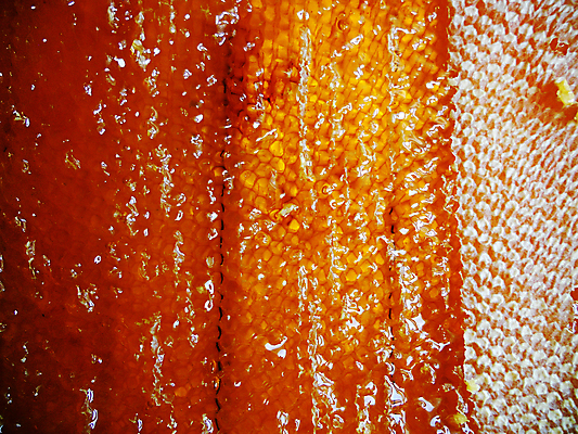 포토 JPG 해외이미지 동물 음식 곤충 백그라운드 패턴 오렌지 자연 세포 건강 사람없음 야외 약 농장 노란색 시골 신선 머리빗 황금 달콤 맛 꿀벌 배열 묘사 질감 꽃가루 육각형 꿀 벌집 내추럴 고립 밀랍 양봉 양봉장 왁스 폴리곤 해외포토 도형 컬러 컨셉 무늬 농업 과일 의학 미용용품 벌_곤충 가루 생태계 파일형식 이미지허브