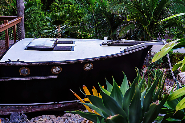 포토 JPG 해외이미지 나무 디자인 공원 밧줄 여행 자연 선인장 건조 항해 손바닥 풍경 해변 사람없음 목재 장식 초록색 여름 정원 검은색 거울 자유 수확 흰색 보트 호주 갑판 묘사 활 원예 휴양지 복고 암초 닻 부화 수목 옛날 테마 특별함 흥미 스타일 해외포토 식물 손 계절 공공시설 줄 바다 컬러 컨셉 농업 배_교통 재료 취미 장소 오세아니아 생태계 파일형식 이미지허브