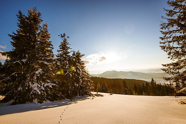 포토 JPG 해외이미지 나무 구름 유럽 여행 백그라운드 겨울 자연 하늘 스키 산 파노라마 풍경 사람없음 야외 햇빛 태양 냉동 얼음 일몰 트래킹 하이킹 추위 성장 흰색 소나무 숲 언덕 서리 북쪽 침엽수 슬로프 산악지대 웅장함 절정 폭설 눈내림 가문비나무 해외포토 자연요소 식물 계절 나라 컬러 레저 겨울스포츠 스키장 눈_날씨 촬영기법 노을 자연재해 방향 생태계 파일형식 이미지허브