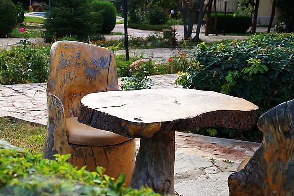 포토 JPG 해외이미지 나무 식물 라이프스타일 디자인 외관 공원 산업 여행 가구 백그라운드 벤치 의자 건축양식 자연 탁자 주택 풍경 사람없음 야외 내부 건물 목재 장식 초록색 여름 세트 갈색 노란색 정원 카페 수확 신선 날것 내추럴 옛날 스타일 해외포토 건축물 계절 공공시설 건축 컬러 생활용품 농업 재료 생활 상점 생태계 파일형식 이미지허브