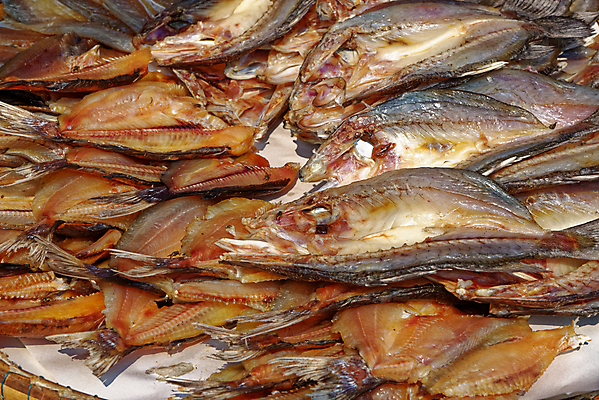 포토 JPG 해외이미지 전통 접시 아시아 음식 바다 백그라운드 다이어트 오렌지 재료 태국 자연 조개 새우 건조 건강 어류 요리 동양인 사람없음 컬러풀 햇빛 태양 주방 신선 시장 해산물 유기농 날것 성분 슈퍼마켓 내추럴 절임 핸드메이드 많음 해외포토 자연요소 식기 웰빙 나라 컬러 컨셉 과일 어패류 갑각류 인종 상점 수중동물 생태계 파일형식 이미지허브