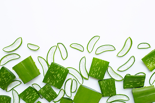 포토 JPG 해외이미지 스튜디오촬영 단면 실내 사람없음 하이앵글 흰배경 알로에 해외포토 식물 뷰포인트 백그라운드 내부 흰색 파일형식 이미지허브