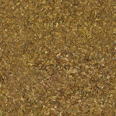 포토 JPG 해외이미지 식물 계절 공원 지구 백그라운드 잎 패턴 밭 자연 표면 추상 바닥 건조 사람없음 야외 초록색 여름 갈색 노란색 환경 정원 봄 가을 떨어짐 숲 질감 내추럴 옛날 해외포토 공공시설 컬러 컨셉 무늬 농업 생태계 파일형식 이미지허브