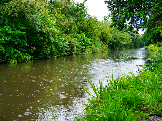 포토 JPG 해외이미지 나무 자연 하늘 영국 잉글랜드 풍경 사람없음 야외 초록색 물 여름 반사 환경 침묵 시골 숲 빗방울 운하 내추럴 해외포토 자연요소 식물 계절 유럽 컬러 소리 비_날씨 생태계 파일형식 이미지허브