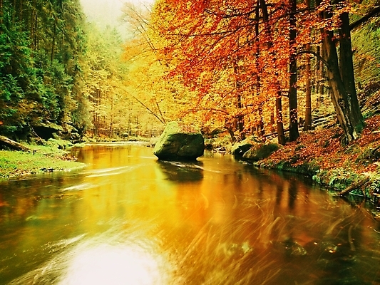 포토 JPG 해외이미지 나무 식물 계절 공원 길 파도 백그라운드 잎 아침 이끼 사람없음 야외 목재 초록색 강 반사 노란색 골짜기 계곡 봄 젖음 흐름 성장 가을 바위 시골 개울 저녁 숲 나무껍질 양치류 해외포토 주간 공공시설 바다 컬러 컨셉 재료 자연 껍질 돌_바위 야간 파일형식 이미지허브