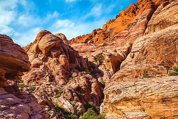 포토 JPG 해외이미지 공원 도로 모래 백그라운드 오렌지 모션 자연 산 선인장 파노라마 국립공원 풍경 사람없음 야외 빨간색 일출 골짜기 계곡 맑음 미국 일몰 새벽 사막 암석 바위 보호 저녁 큼 장면 지역 라스베가스 서쪽 울퉁불퉁 전국 해외포토 자연요소 식물 공공시설 길 컬러 컨셉 북아메리카 과일 교통시설 날씨 촬영기법 노을 돌_바위 야간 크기 방향 생태계 파일형식 이미지허브