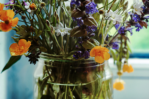 포토 JPG 해외이미지 주간 식물 꽃 분홍색 꽃다발 잎 밭 오렌지 자연 유리 아침 따뜻함 사람없음 초록색 물 파란색 빛 컬러풀 노란색 새싹 꽃병 맑음 침묵 기쁨 들꽃 터치 벚꽃 흰색 신선 항아리 허브 제비꽃 향기 냄새 부드러움 정물화 해외포토 자연요소 감정 컬러 농업 과일 재질 날씨 소리 도자기 감각 그림 생태계 파일형식 이미지허브