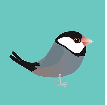 EPS 해외이미지 동물 실루엣 야생동물 날개 일러스트 자연 조류 파란색 반려동물 검은색 흰색 깃털 부리 까마귀 고립 해외일러스트 컬러 촬영기법 생태계 파일형식 벡터 이미지허브