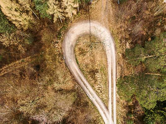 포토 JPG 해외이미지 나무 식물 공원 도로 길 선 백그라운드 패턴 자국 모션 자연 벽지 조류 거리 안테나 풍경 사람없음 야외 세로 초록색 운전 시골 고리 정상 숲 오솔길 드론 방법 비포장도로 생태학 조감도 해외포토 동물 공공시설 교육 컬러 무늬 통신 교통시설 생태계 파일형식 이미지허브