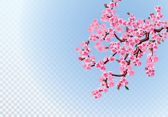 EPS 해외이미지 나무 전통 디자인 계절 꽃잎 꽃 아시아 문화 분홍색 결혼 백그라운드 잎 꽃무늬 일러스트 자연 세포 장식 여름 일본 중국 일몰 봄 벚꽃 흰색 나뭇가지 축하 신용카드 투명 체리 심볼 오브젝트 체크무늬 동쪽 고립 엘리먼트 이국적 현실 해외일러스트 식물 나라 컬러 컨셉 무늬 과일 이벤트 금융 노을 방향 생태계 파일형식 벡터 이미지허브