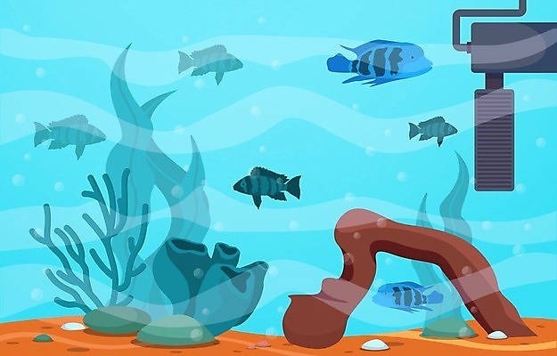 EPS 해외이미지 식물 동물 디자인 모래 파도 바다 백그라운드 컨셉 일러스트 자연 불가사리 항해 어류 미술 취미 내부 장식 물 반려동물 컬러풀 환경 상점 수중 수영 거품 바위 해조류 산호 작음 수집 다이빙 탱크 암초 수족관 동물상 민물 이국적 해외일러스트 자연요소 컬러 배_교통 문화예술 극피동물 조형물 수중동물 돌_바위 수상스포츠 해양식물 자포동물 크기 생태계 수중스포츠 파일형식 벡터 이미지허브